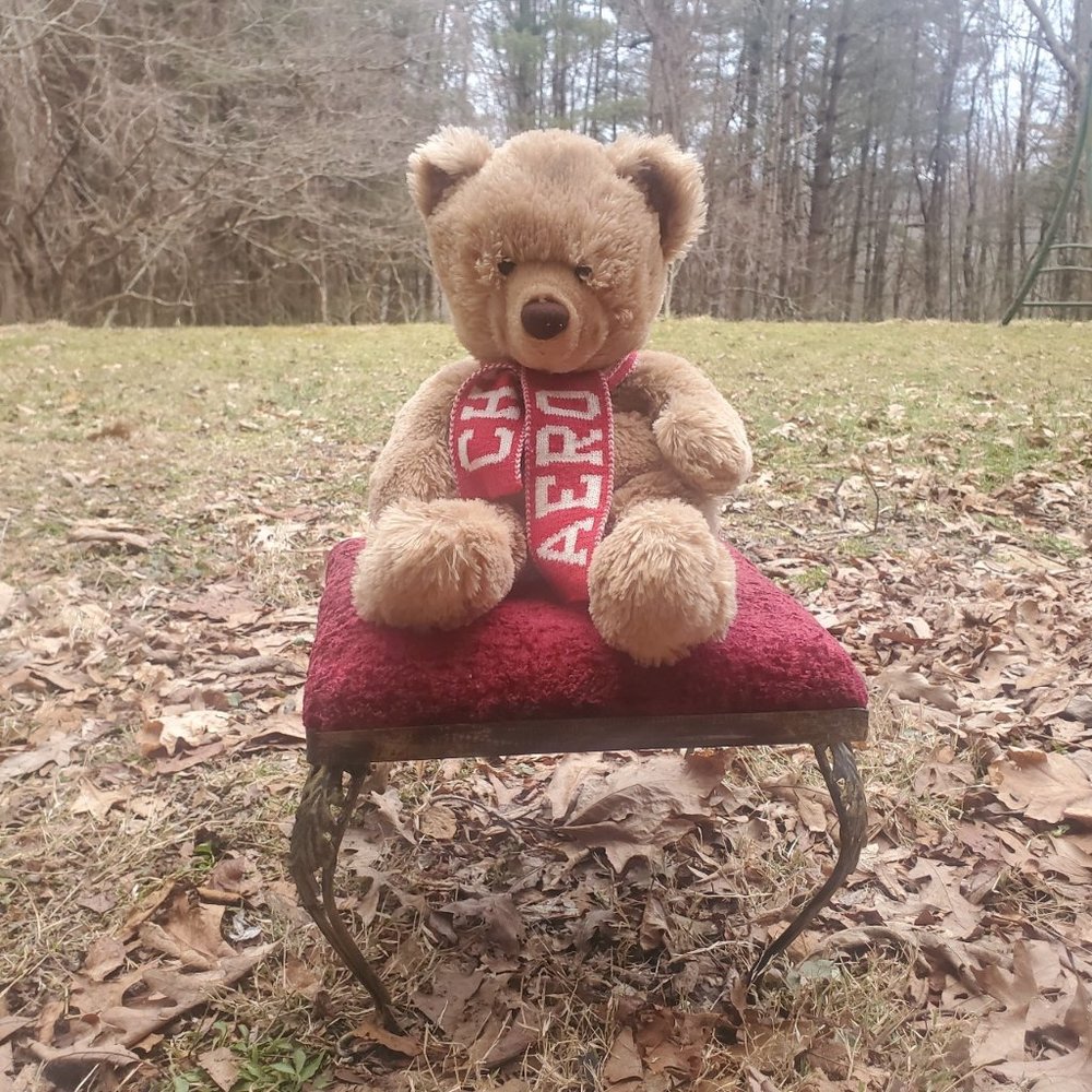 Aeropostale Teddy Bear with Scarf